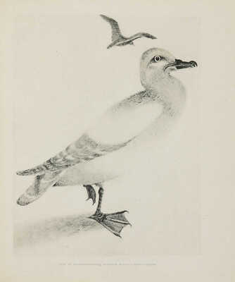 Две книги, посвященные первому в истории сквозному плаванию по Северному морскому пути ледокола «Александр Сибиряков»: